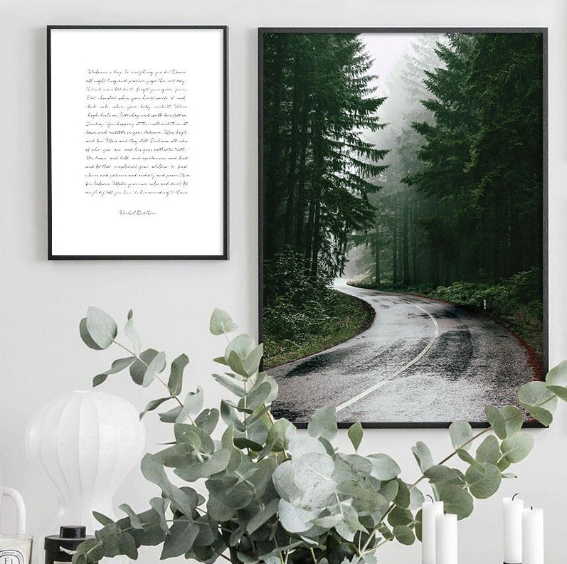 Scandinavian Forest Road Canvas Print