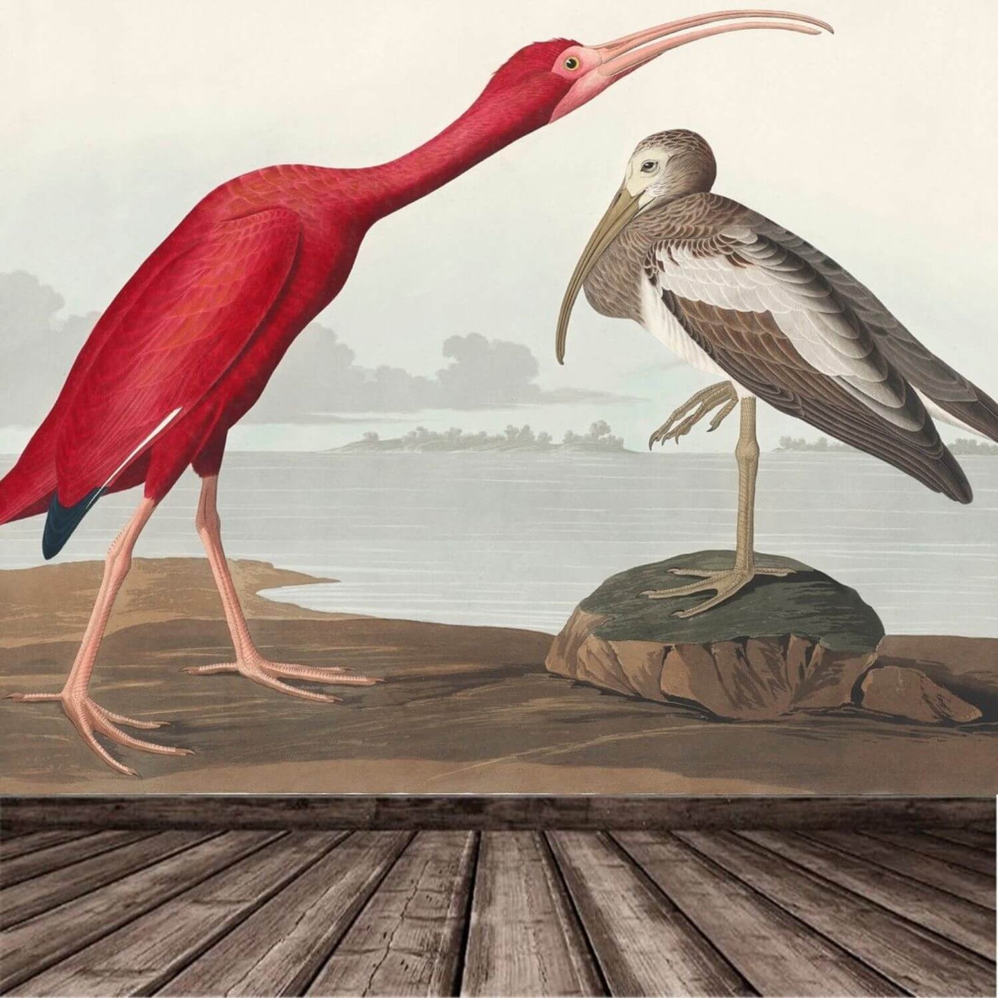 Red Ibis Landscape Mural Wallpaper (SqM)