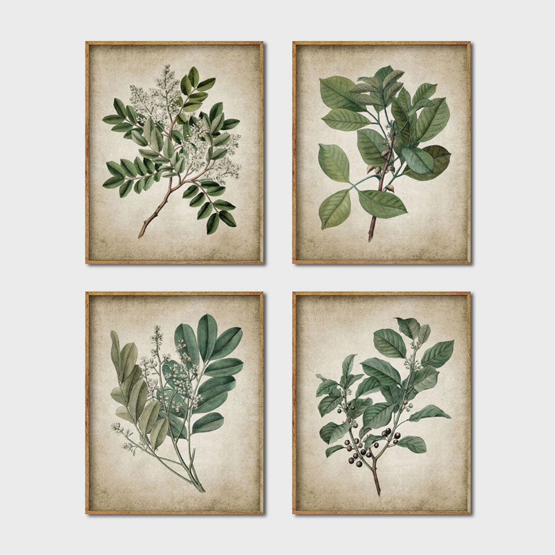 Vintage Minimalist Green Plants Canvas Prints | Nordic Poster Botanical Leaves Wall Art For Living Room Bedroom Dining Room Home Décor