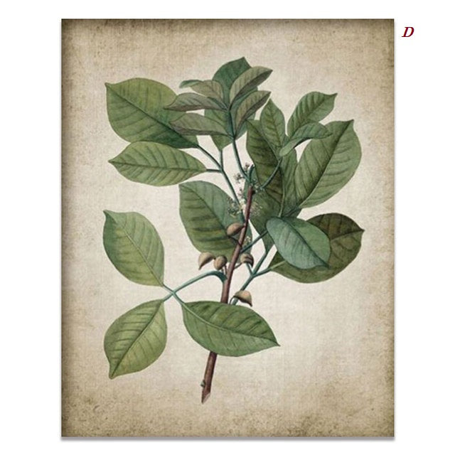 Vintage Minimalist Green Plants Canvas Prints | Nordic Poster Botanical Leaves Wall Art For Living Room Bedroom Dining Room Home Décor