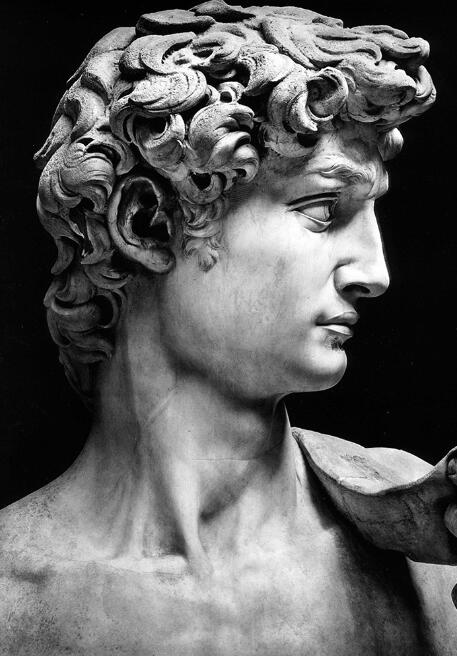Classical Renaissance Michelangelo David Statue Canvas Print | Black & White Wall Art For Modern Living Room Decor