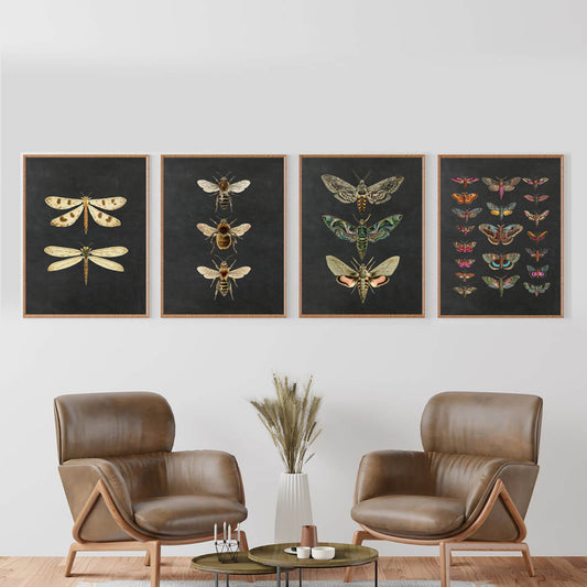 Nature Insect Moth Butterfly Dragonfly Canvas Prints | Vintage Wall Art Nordic Style Educational Posters For Living Room Kids Room Home Décor