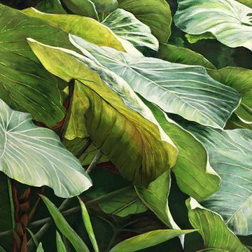 Morning Rainforest Giant Leaves Wall Mural (SqM)