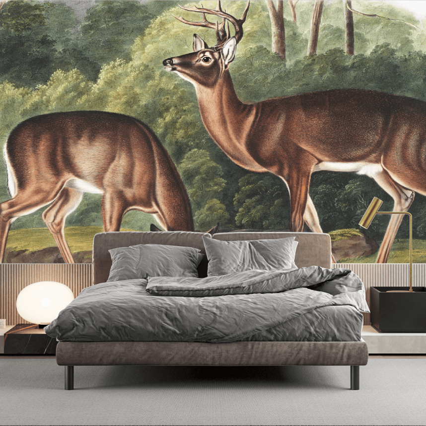 Deer by J.J. Audubon Mural Wallpaper (SqM)