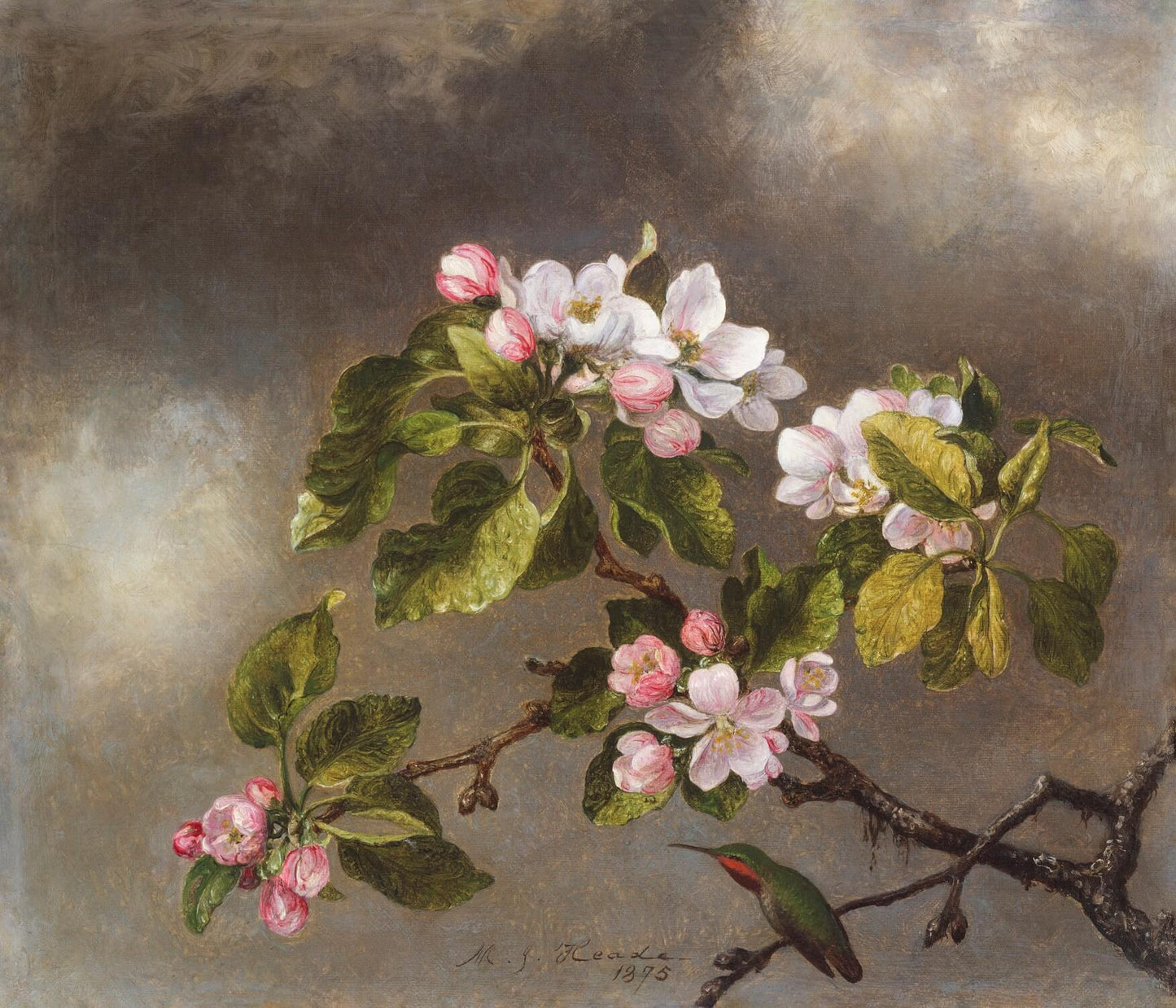 Apple Blossom Dark Mural Wallpaper (SqM)