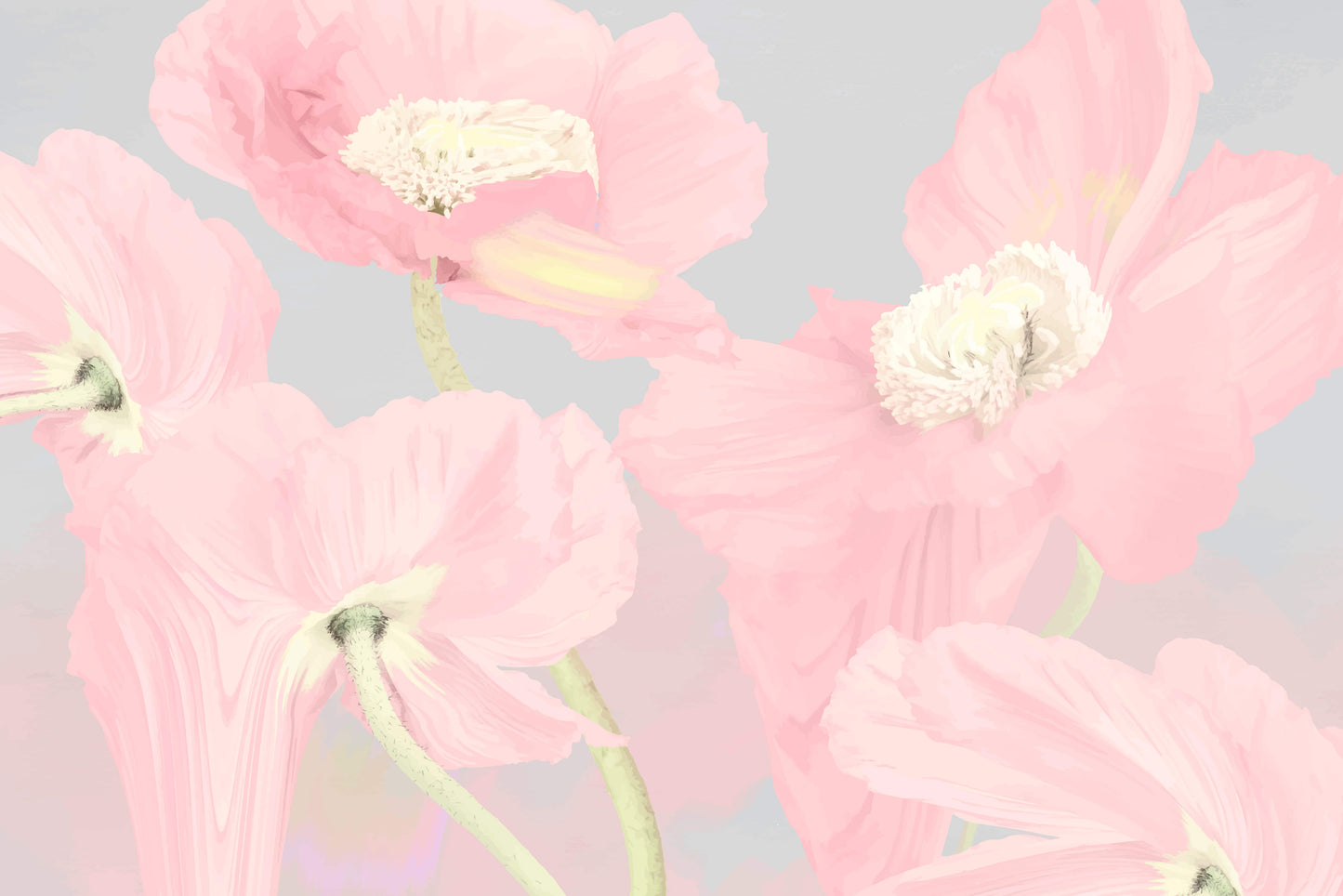 Large Pastel Poppies Mural Wallpaper (SqM)