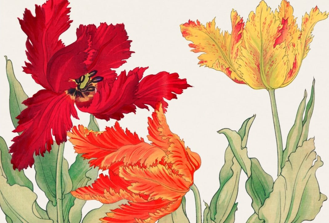 Red and Yellow Parrot Tulips Floral Mural Wallpaper (SqM)