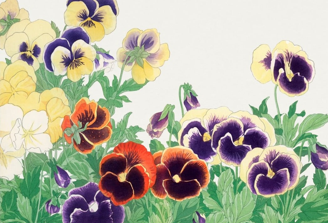 Vintage Pansy Flowers Mural Wallpaper (SqM)