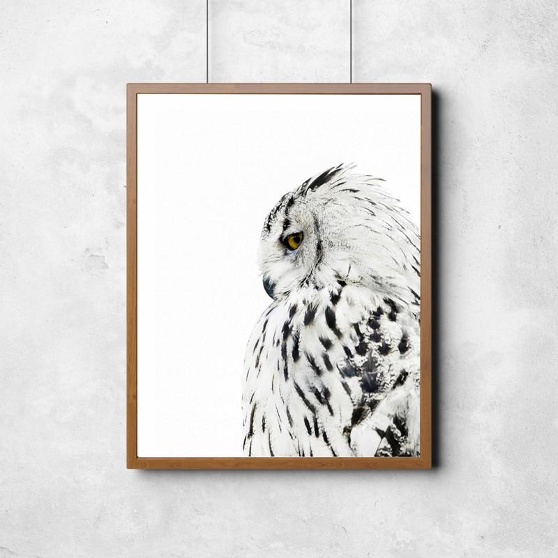 White Owl Canvas Print