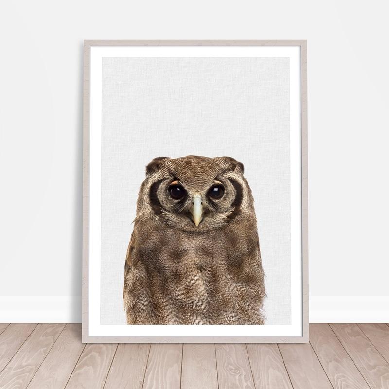 Brown Owl Canvas Print