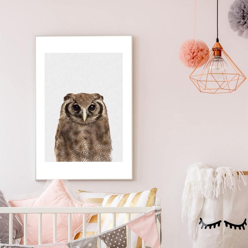 Brown Owl Canvas Print