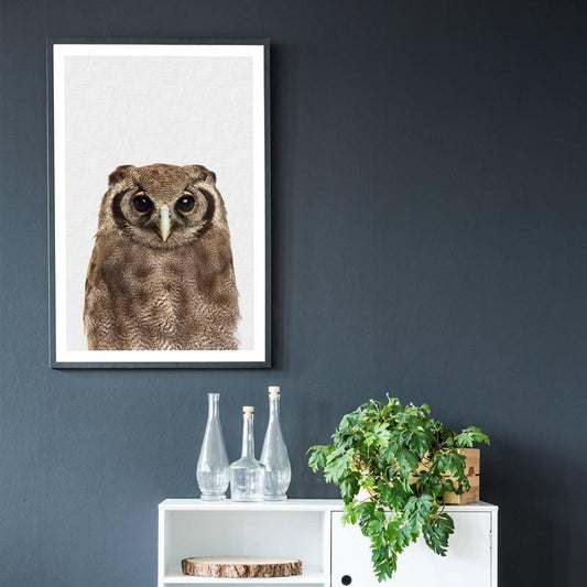 Brown Owl Canvas Print