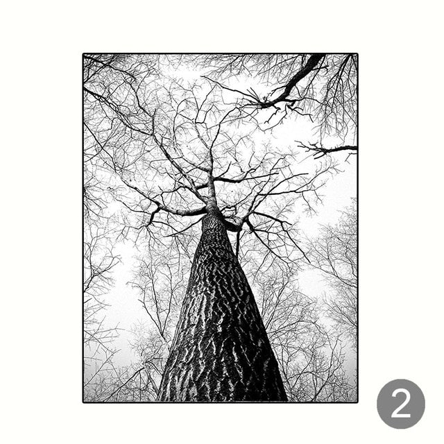 Black And White Scandinavian Winter Woodland Canvas Prints | Nature Deer Silver Birch Forest Wall Art For Living Room Dining Room Décor